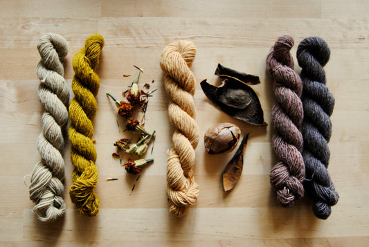 Dumpster Diver to Yarn Dyer